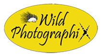 Logo Cover1_2